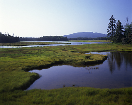 Bass Harbor Marsh, Mount Desert Island, Maine